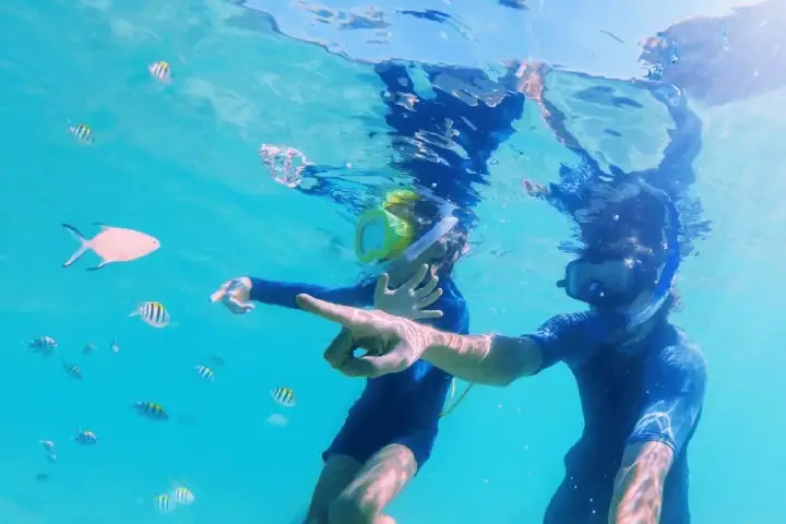 Croisière écologique baleines & dauphins (2)