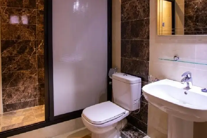 Hôtel Toulousain (6)