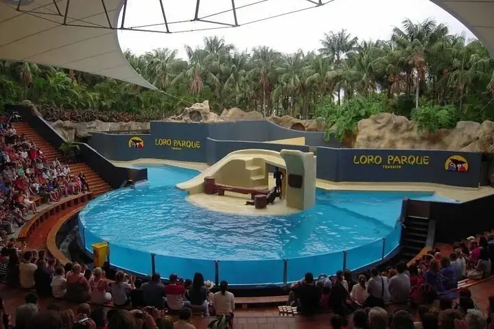 Journée Inoubliable au Loro Parque (1)