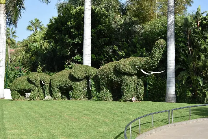 Journée Inoubliable au Loro Parque (3)