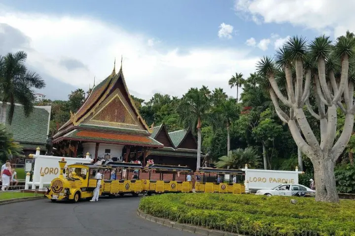 Journée Inoubliable au Loro Parque (6)