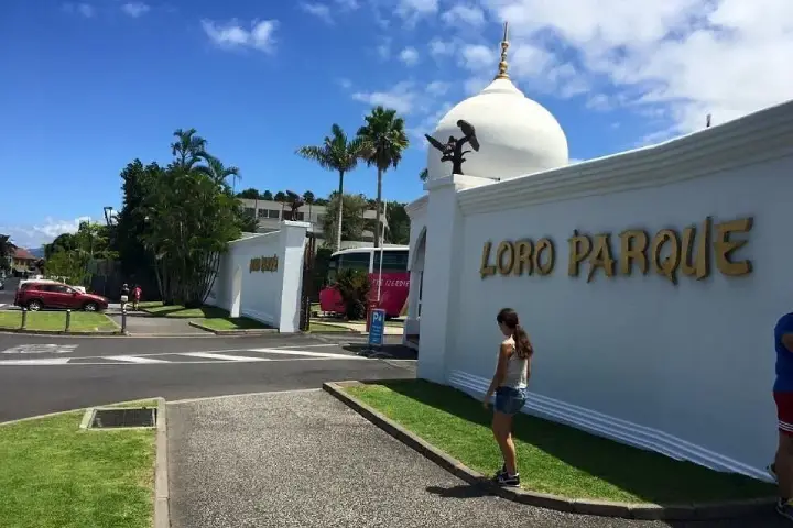 Journée Inoubliable au Loro Parque (8)