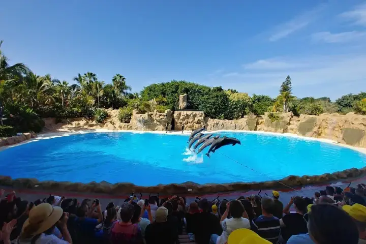 Journée Inoubliable au Loro Parque