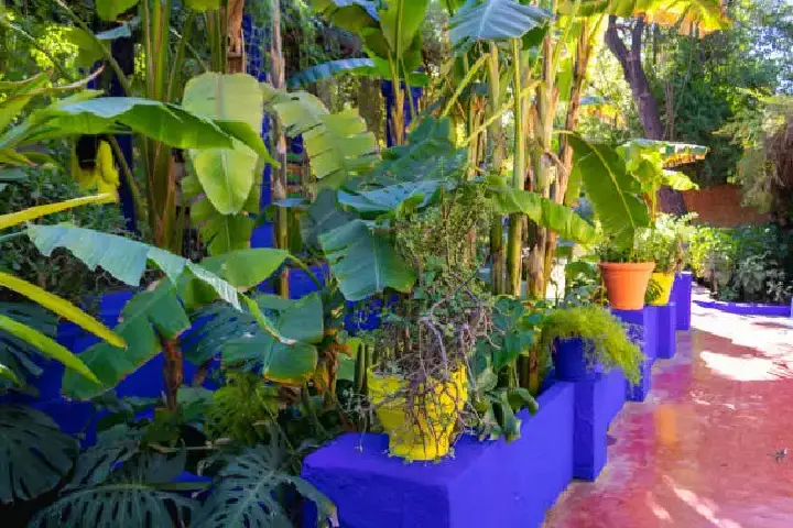 Journée historique (15)