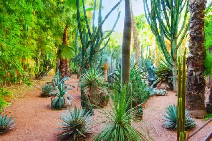 Journée historique (16)