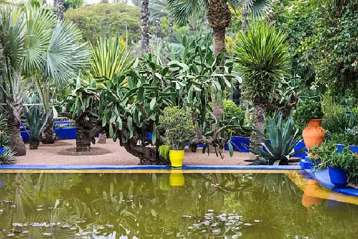 Journée historique (17)