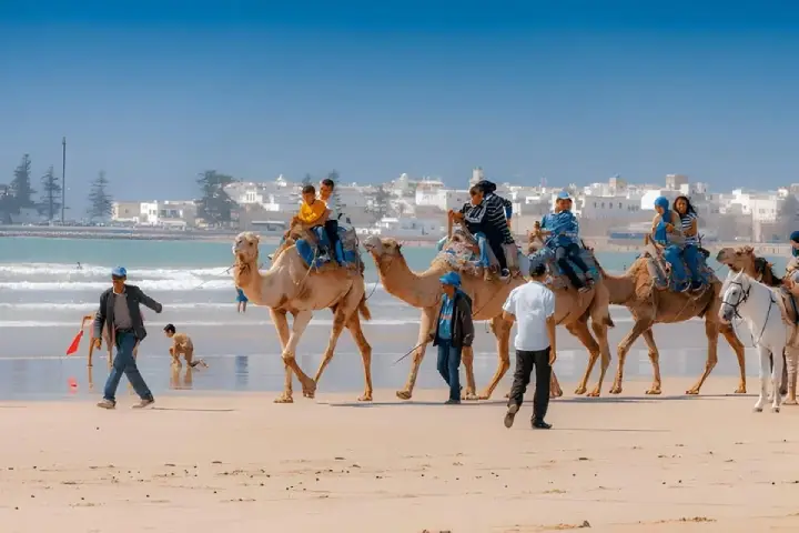 Mogador Portugais (4)