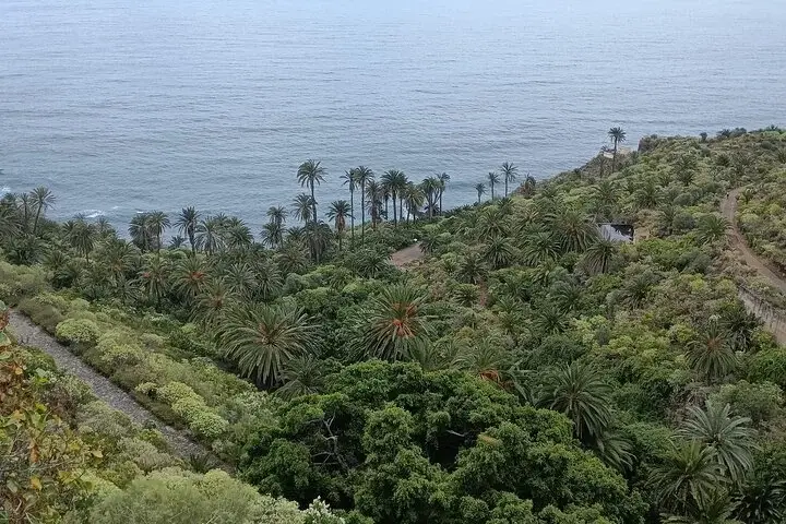 Nature & Culture au Nord de Tenerife (4)