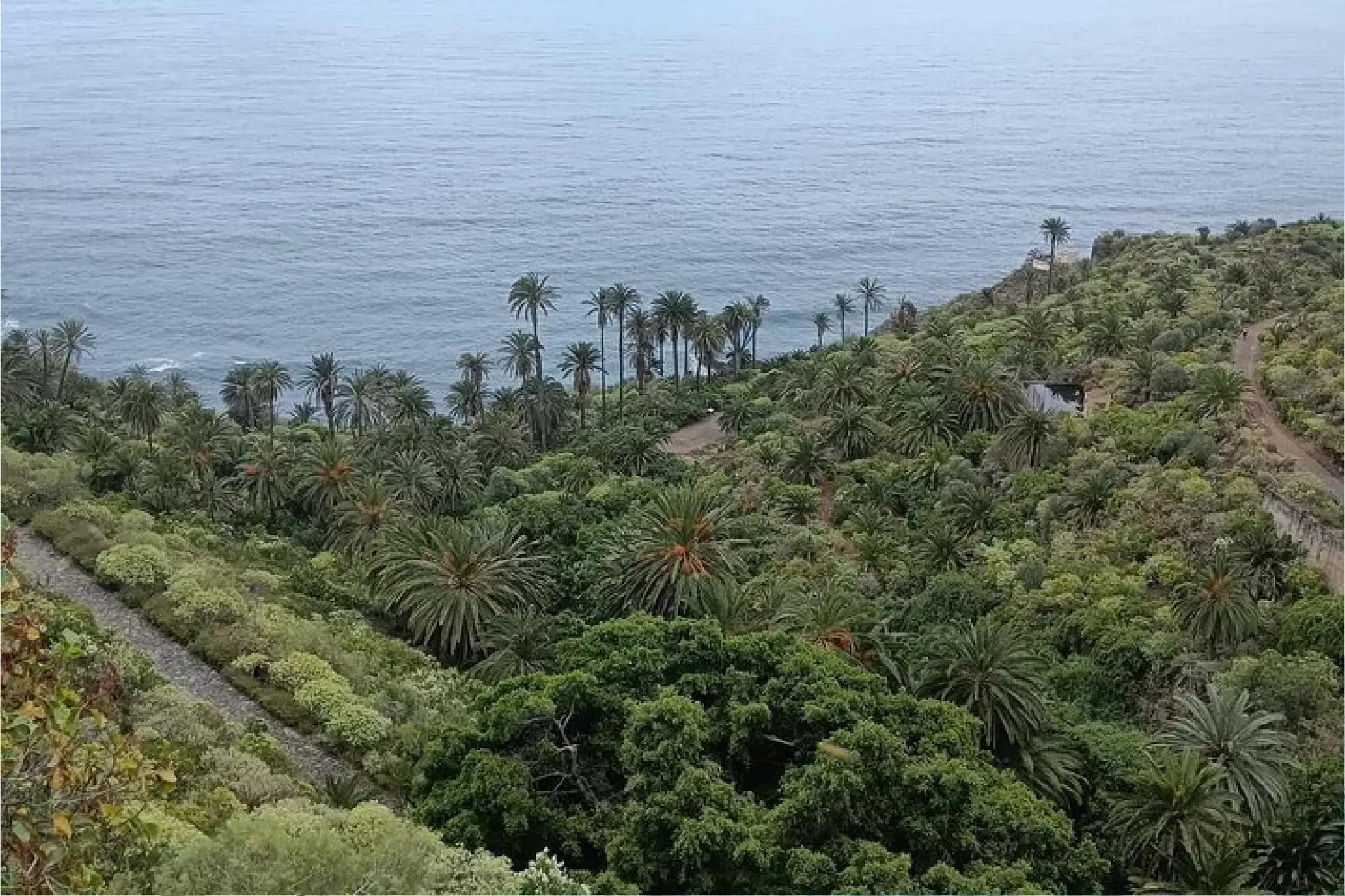 Nature & Culture au Nord de Tenerife